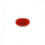 Red Coral - 5.02 Carat - Pramogh