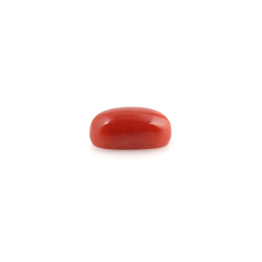 Red Coral - 5.02 Carat - Pramogh