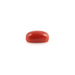 Red Coral - 5.02 Carat - Pramogh