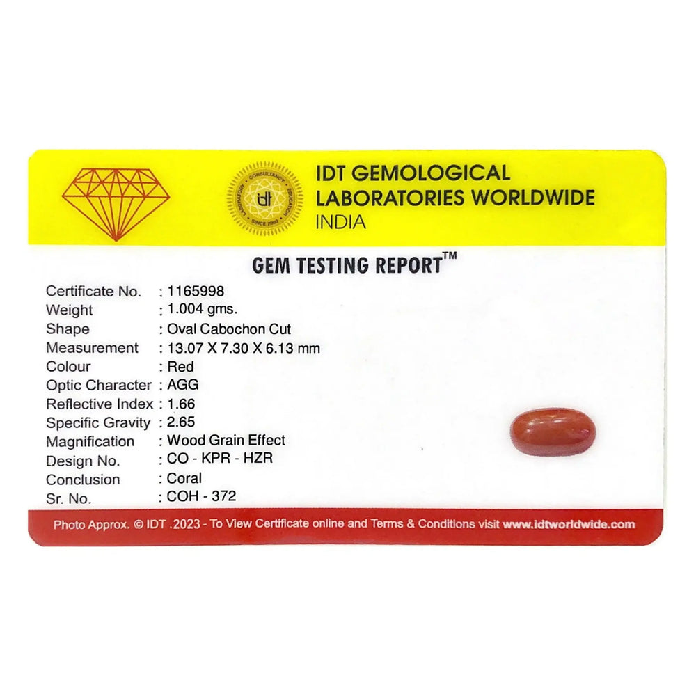 Red Coral - 5.02 Carat - Pramogh