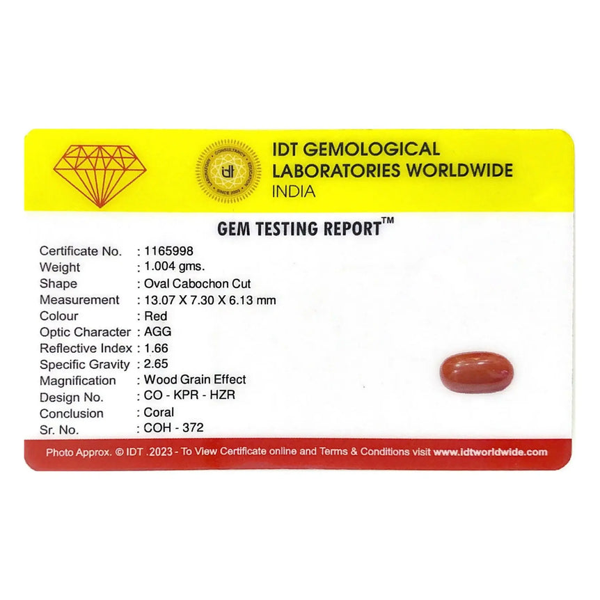 Red Coral - 5.02 Carat - Pramogh