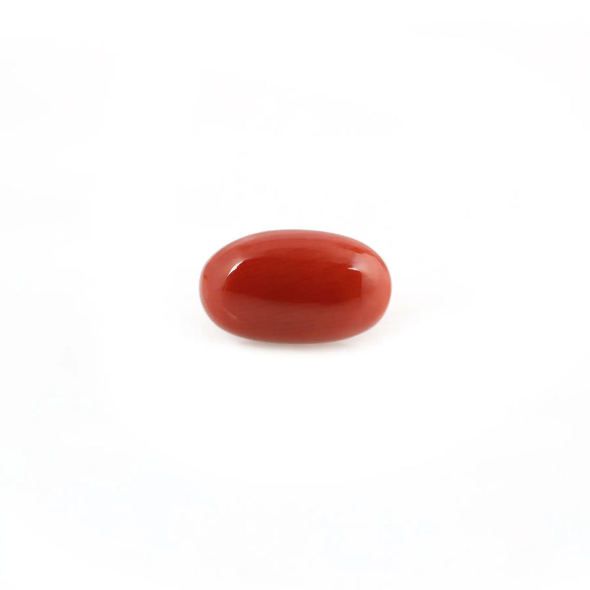 Red Coral - 4.91 Carat - Pramogh
