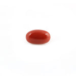 Red Coral - 4.91 Carat - Pramogh