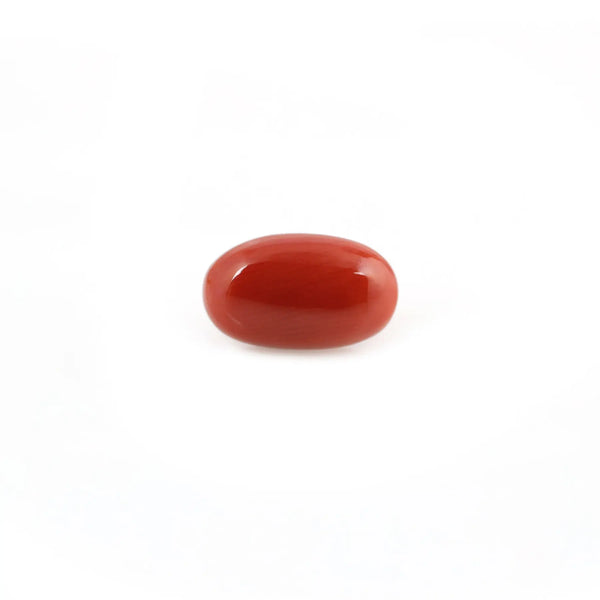 Red Coral - 4.91 Carat