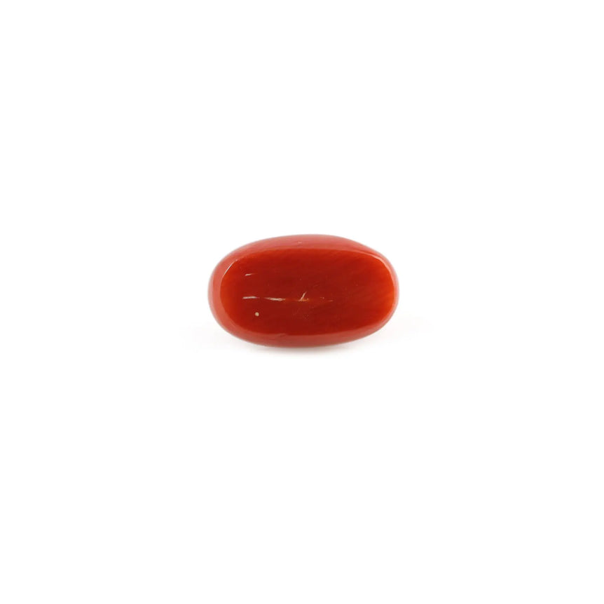Red Coral - 4.91 Carat - Pramogh