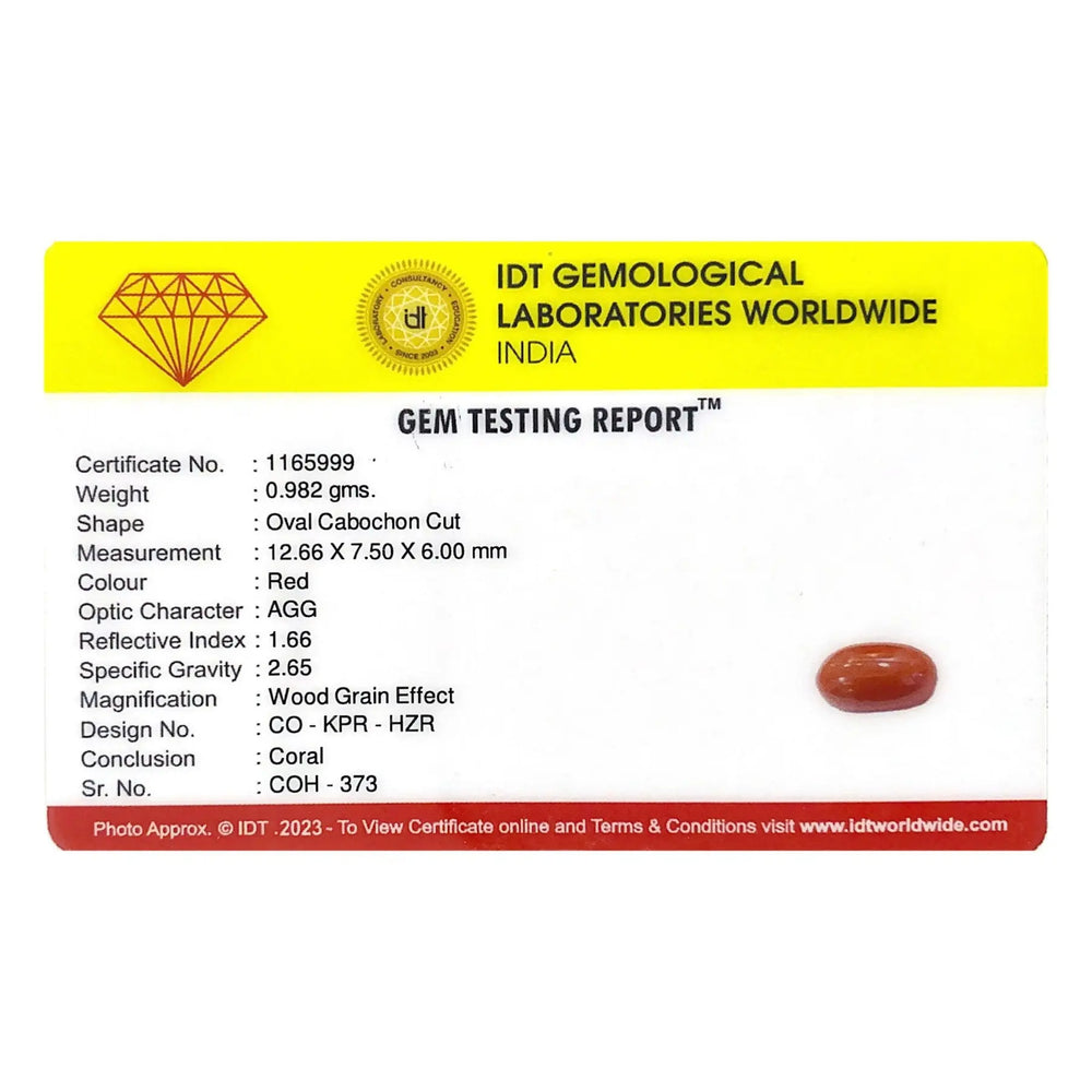 Red Coral - 4.91 Carat - Pramogh