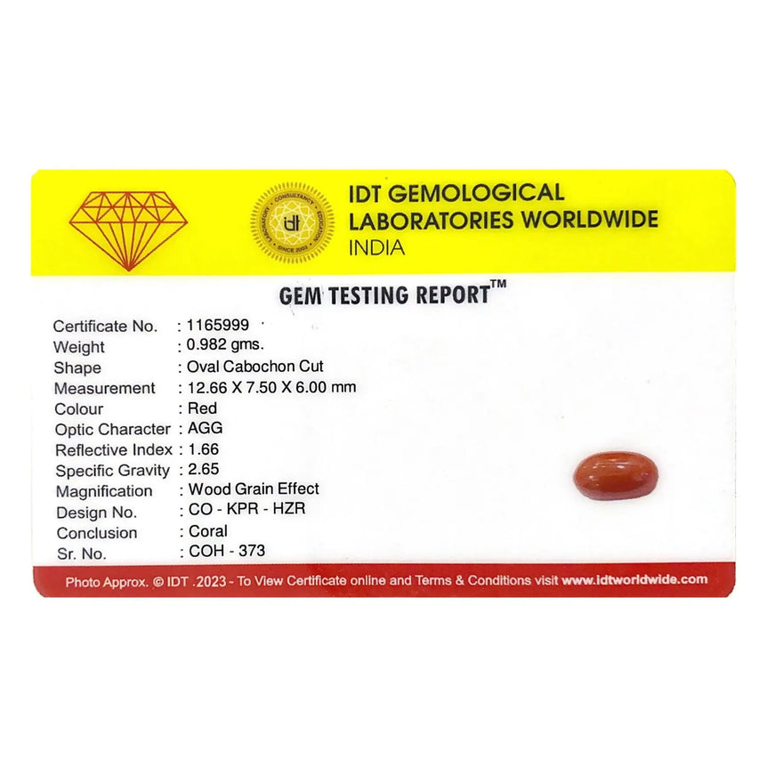 Red Coral - 4.91 Carat - Pramogh