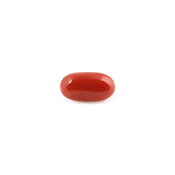 Red Coral - 4.98 Carat