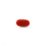 Red Coral - 4.98 Carat - Pramogh