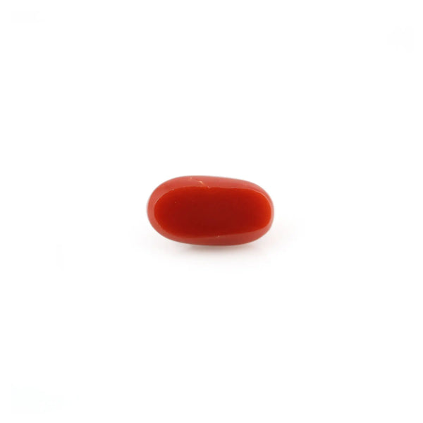 Red Coral - 4.98 Carat