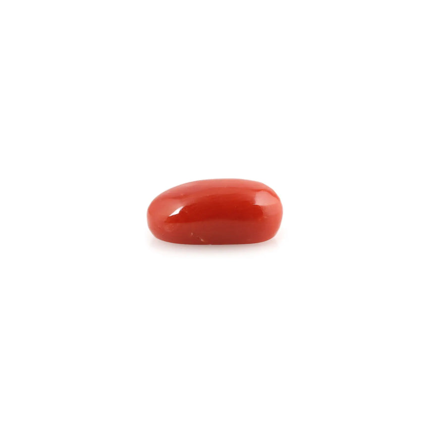 Red Coral - 4.98 Carat - Pramogh
