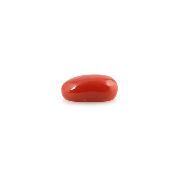 Red Coral - 4.98 Carat