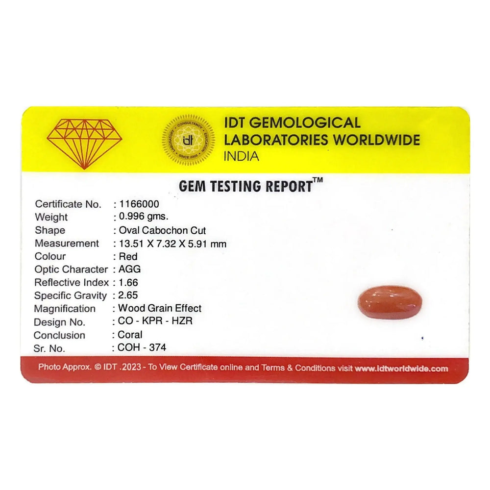 Red Coral - 4.98 Carat - Pramogh