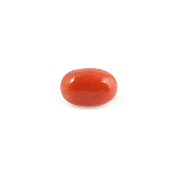 Red Coral - 4.32 Carat