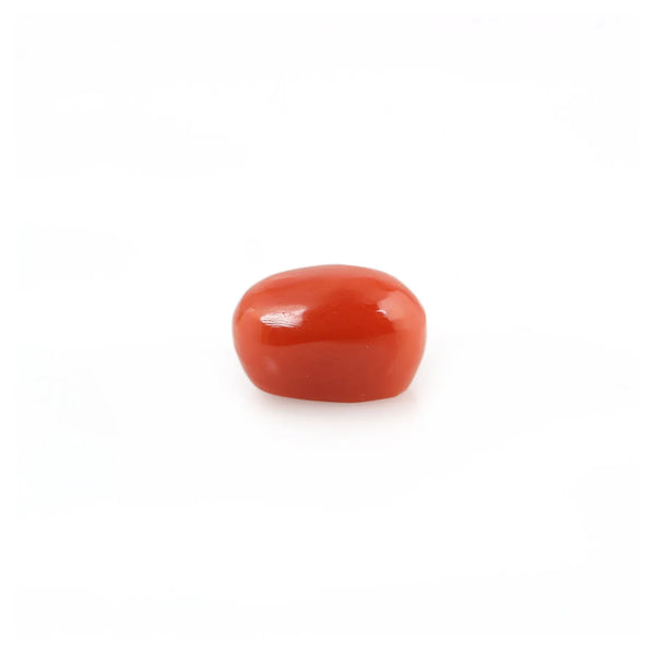 Red Coral - 4.32 Carat