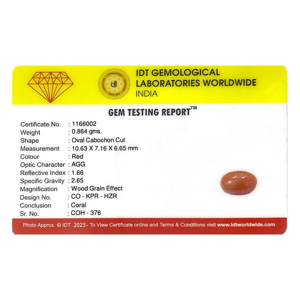 Red Coral - 4.32 Carat - Pramogh
