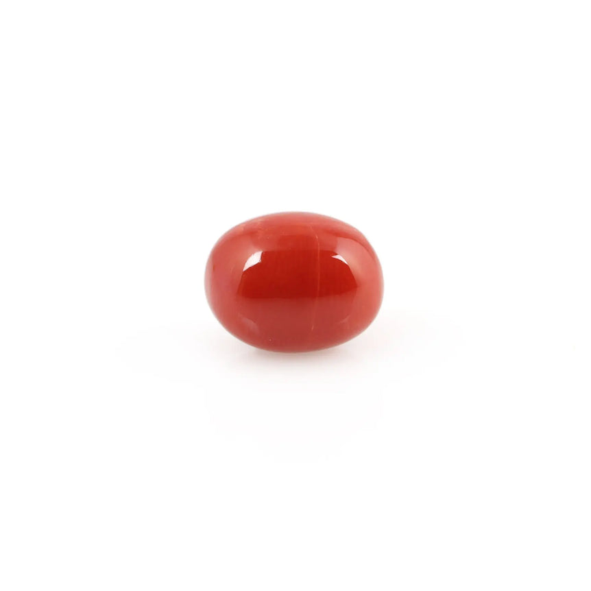 Red Coral - 4.2 Carat - Pramogh