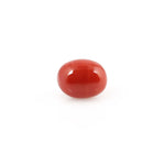 Red Coral - 4.2 Carat - Pramogh