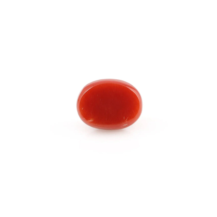 Red Coral - 4.2 Carat - Pramogh