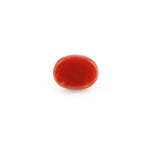 Red Coral - 4.2 Carat - Pramogh