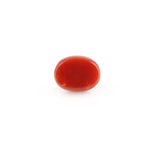 Red Coral - 4.2 Carat