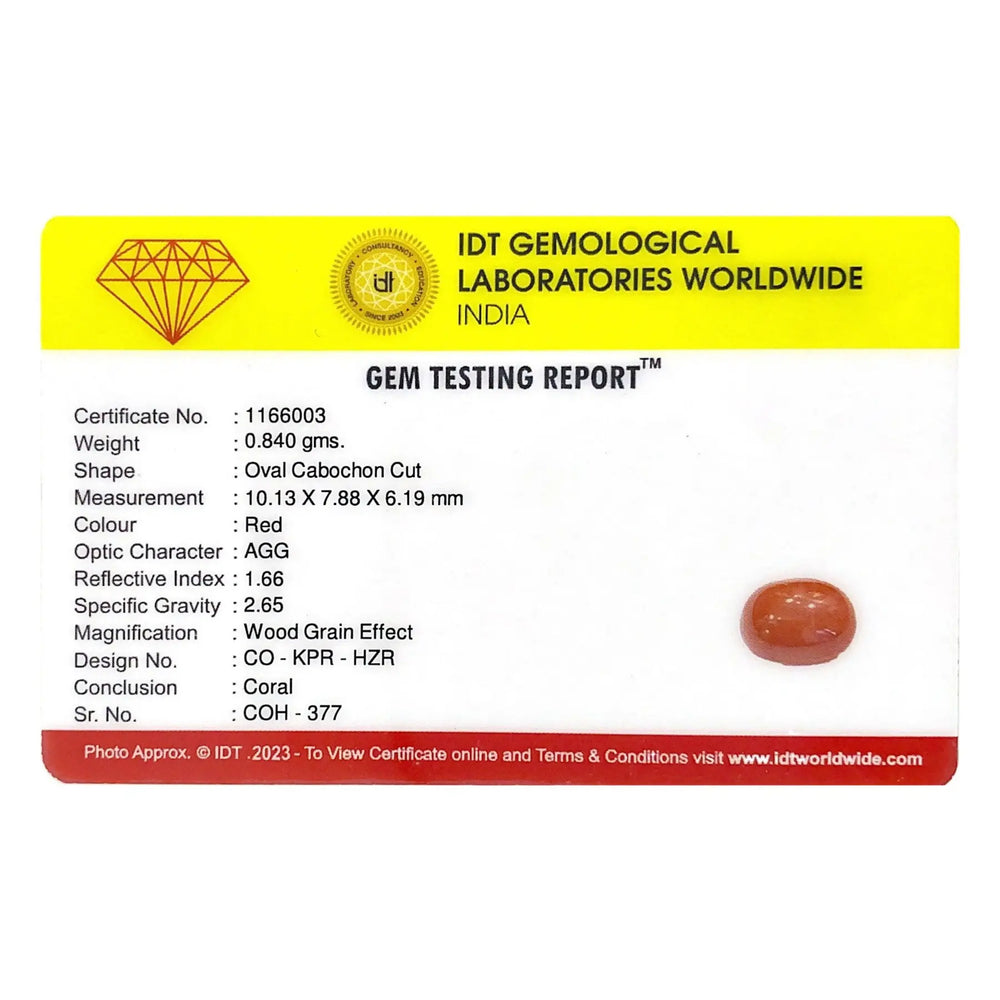 Red Coral - 4.2 Carat - Pramogh