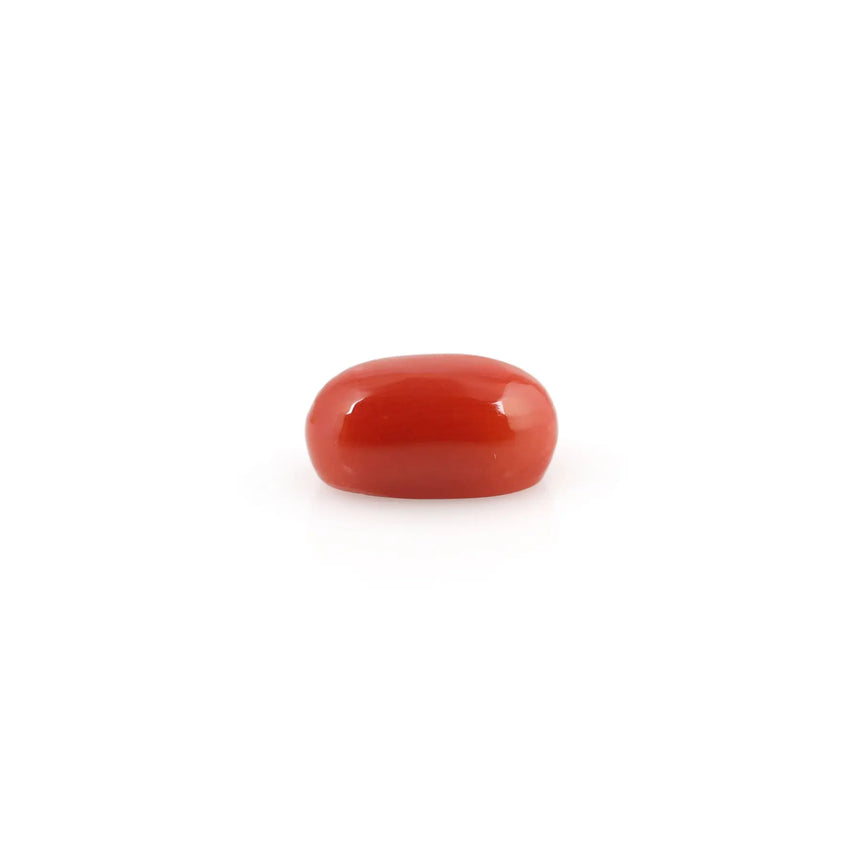 Red Coral - 4.2 Carat - Pramogh