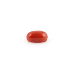 Red Coral - 4.2 Carat - Pramogh