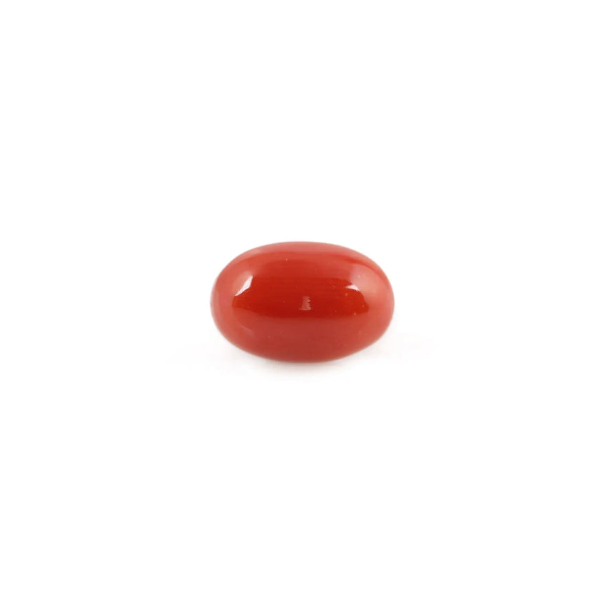 Red Coral - 4.32 Carat - Pramogh