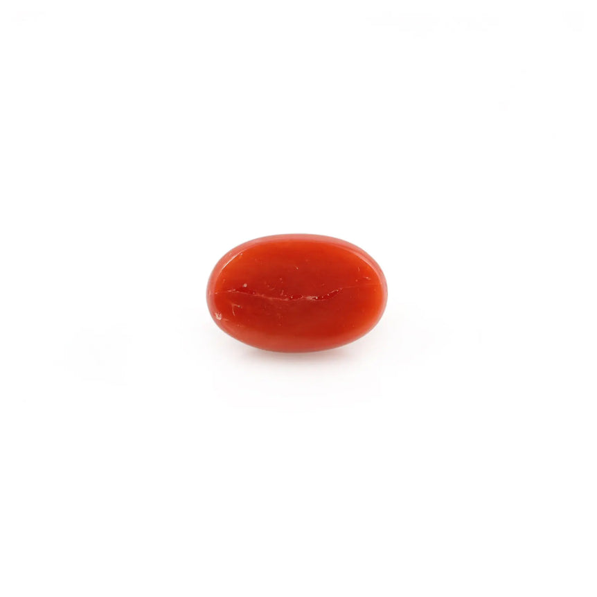 Red Coral - 4.32 Carat - Pramogh