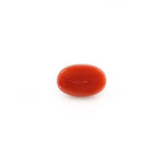 Red Coral - 4.32 Carat - Pramogh