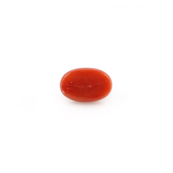 Red Coral - 4.32 Carat