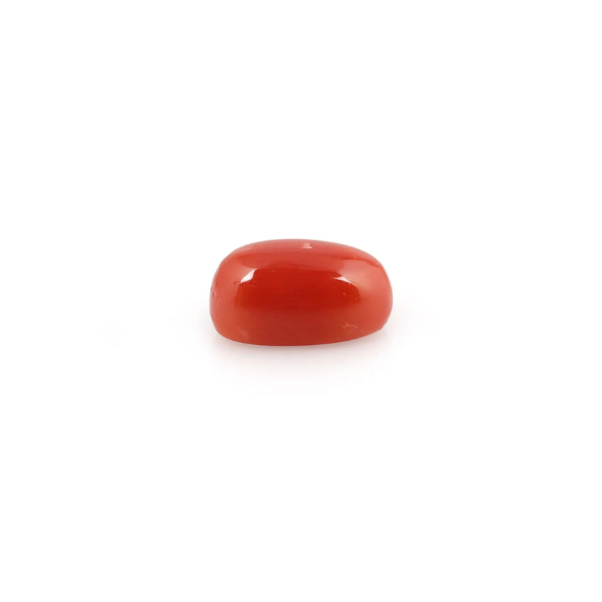 Red Coral - 4.32 Carat - Pramogh