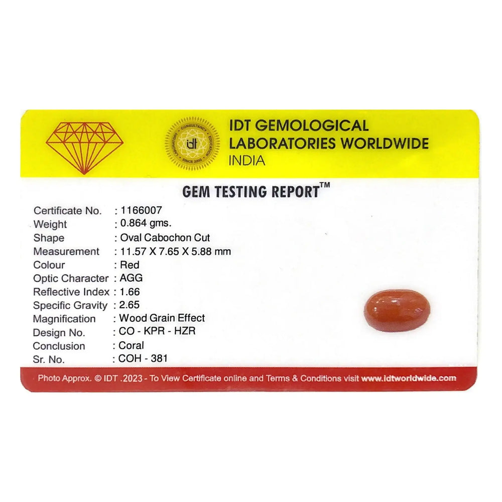 Red Coral - 4.32 Carat - Pramogh