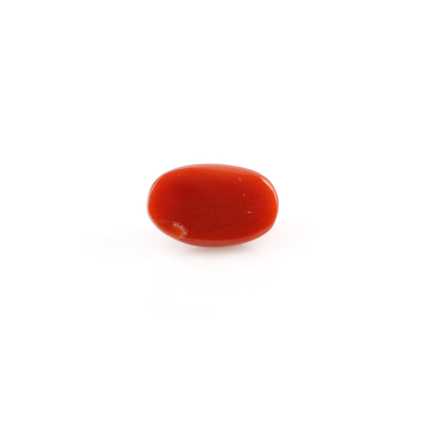 Red Coral - 3.91 Carat