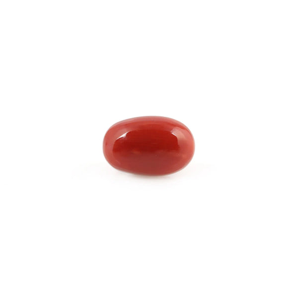 Red Coral - 4.58 Carat