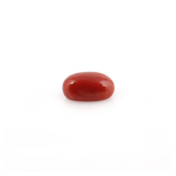 Red Coral - 4.58 Carat