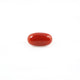 Red Coral - 4.53 Carat - Pramogh