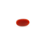 Red Coral - 4.53 Carat - Pramogh