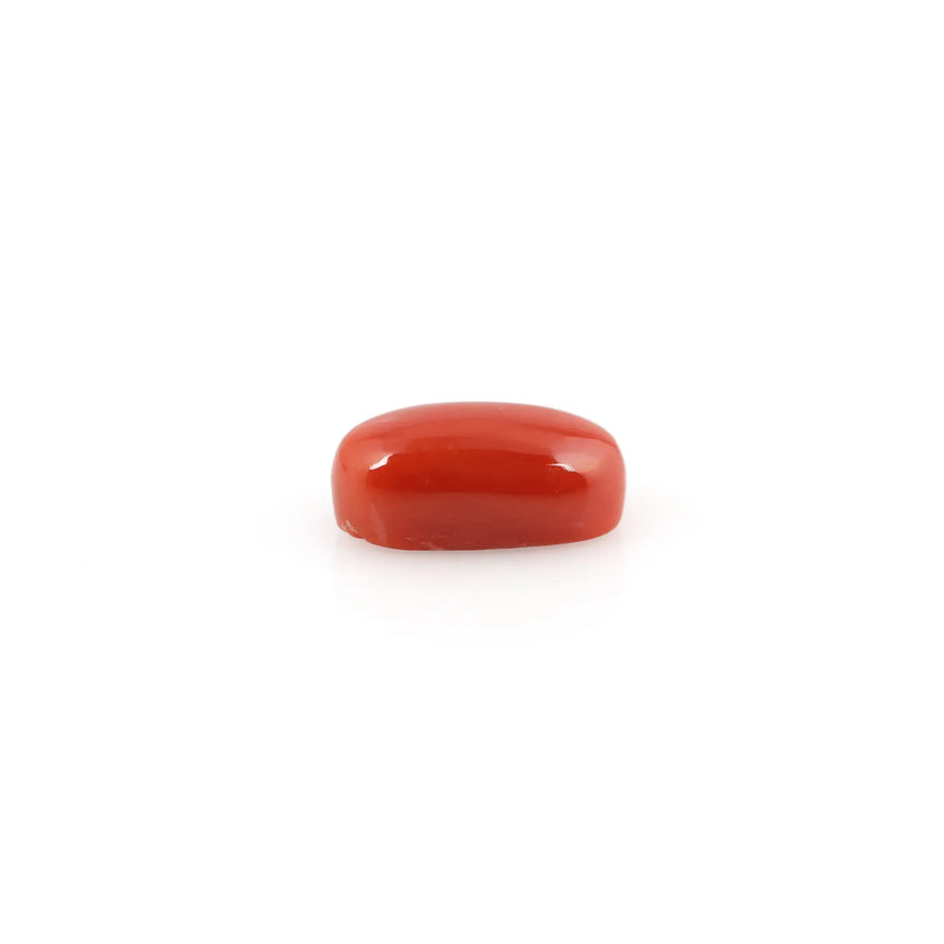 Red Coral - 4.53 Carat - Pramogh