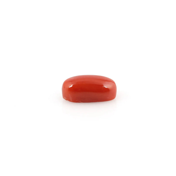 Red Coral - 4.53 Carat