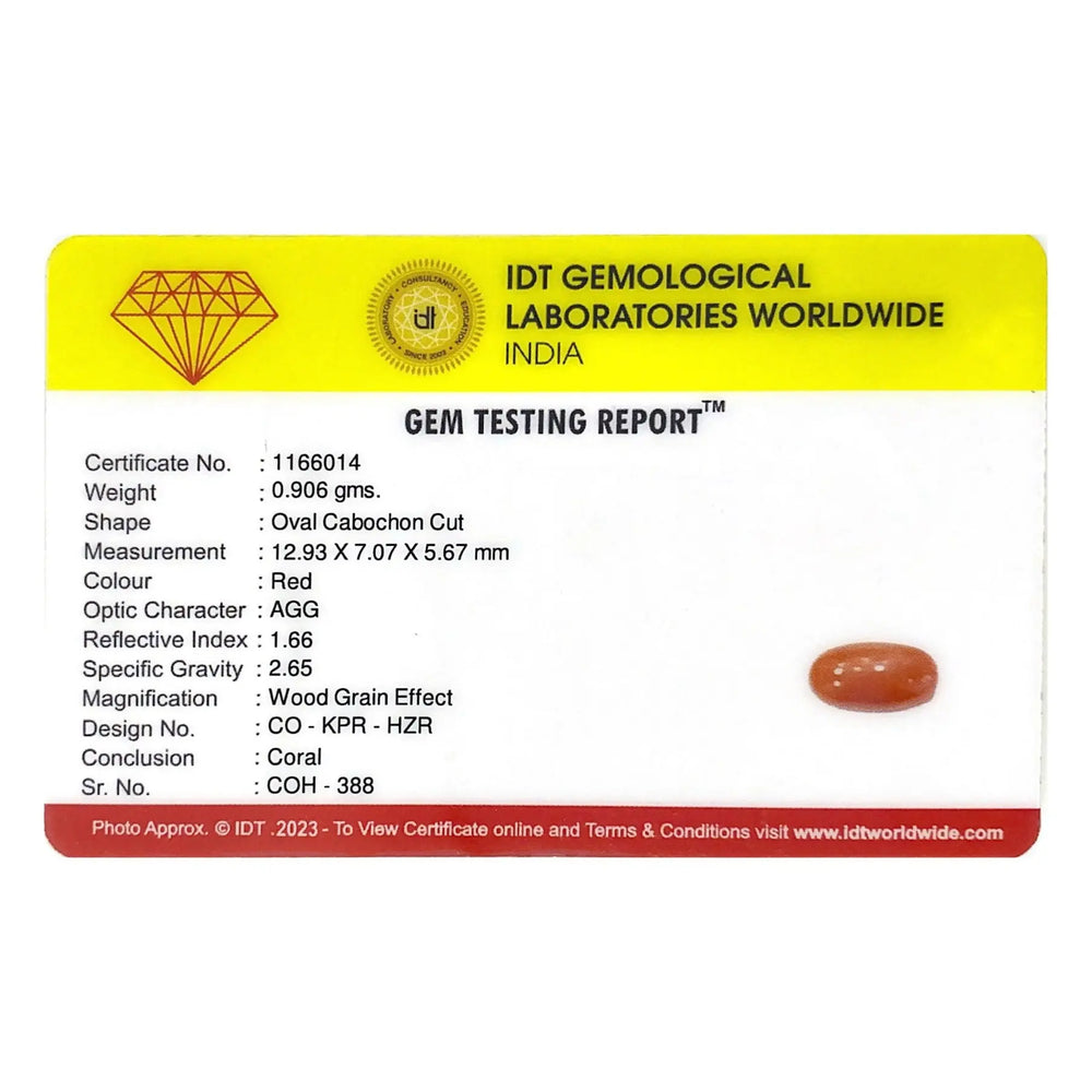 Red Coral - 4.53 Carat - Pramogh