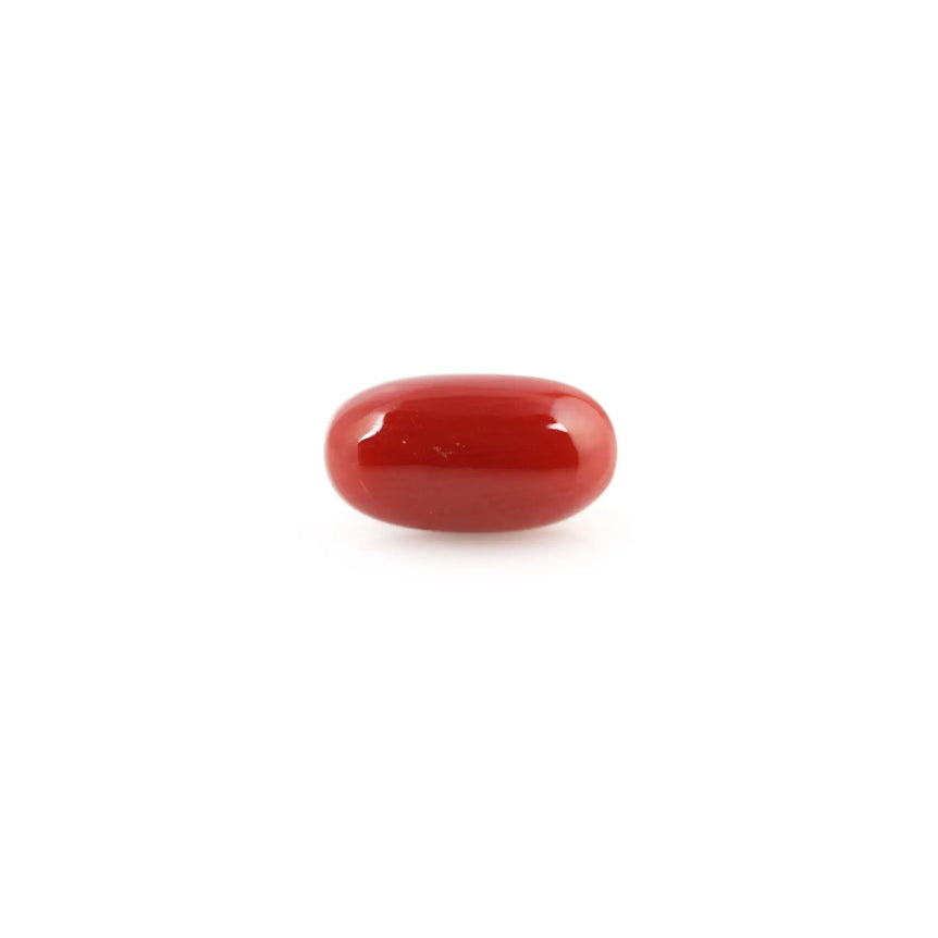 Red Coral - 5.18 Carat - Pramogh