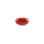 Red Coral - 5.18 Carat - Pramogh