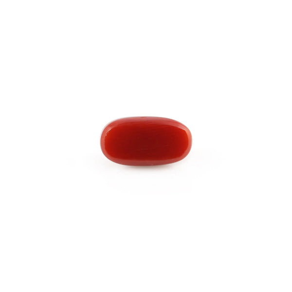 Red Coral - 5.18 Carat