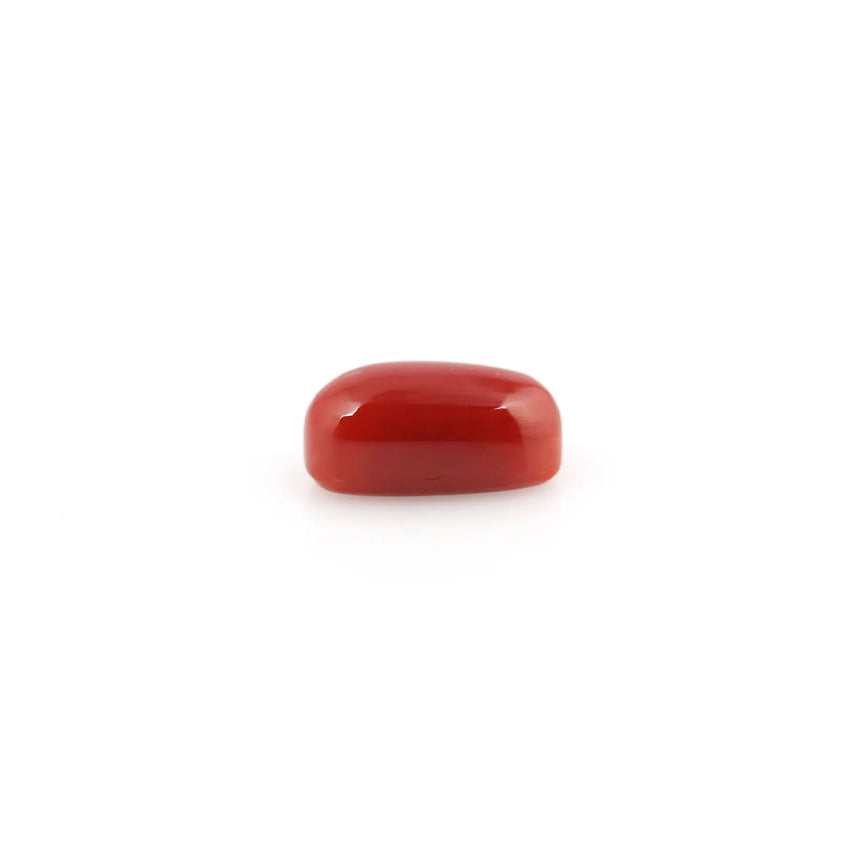 Red Coral - 5.18 Carat - Pramogh