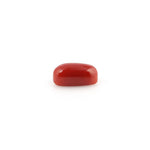 Red Coral - 5.18 Carat - Pramogh