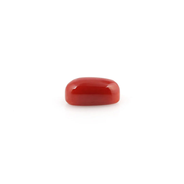 Red Coral - 5.18 Carat