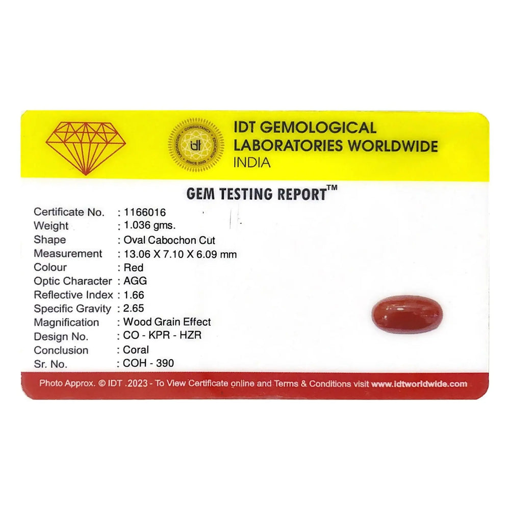 Red Coral - 5.18 Carat - Pramogh