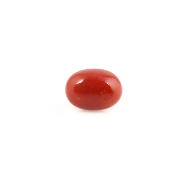 Red Coral - 4.34 Carat